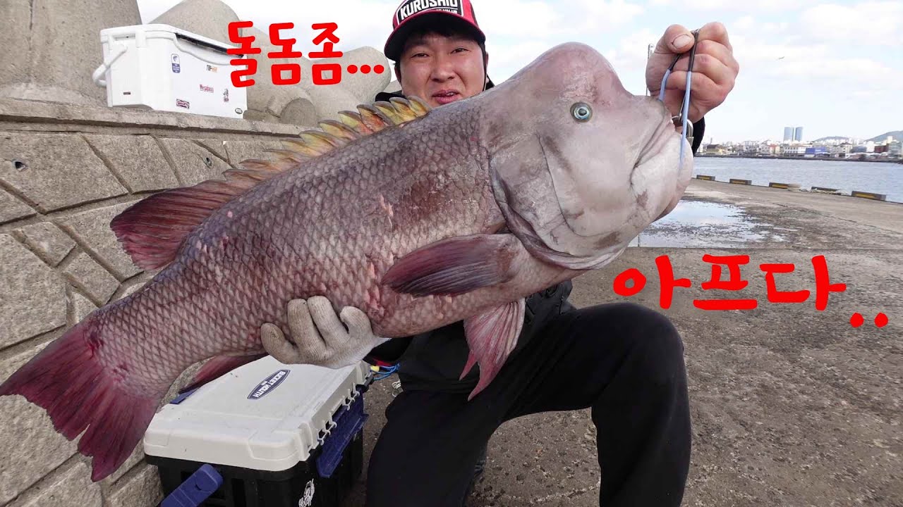 제주도는 무서운곳이다... 무지막지한 녀석들이 사는곳