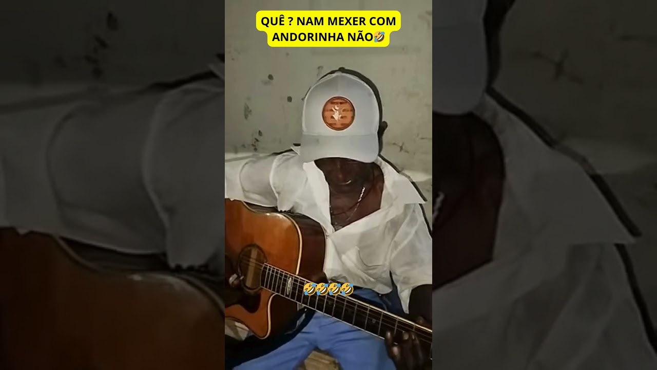 SEU SANTINHO PERDEU A PACI&Ecirc;NCIA COM AS ANDORINHAS🤣#humor