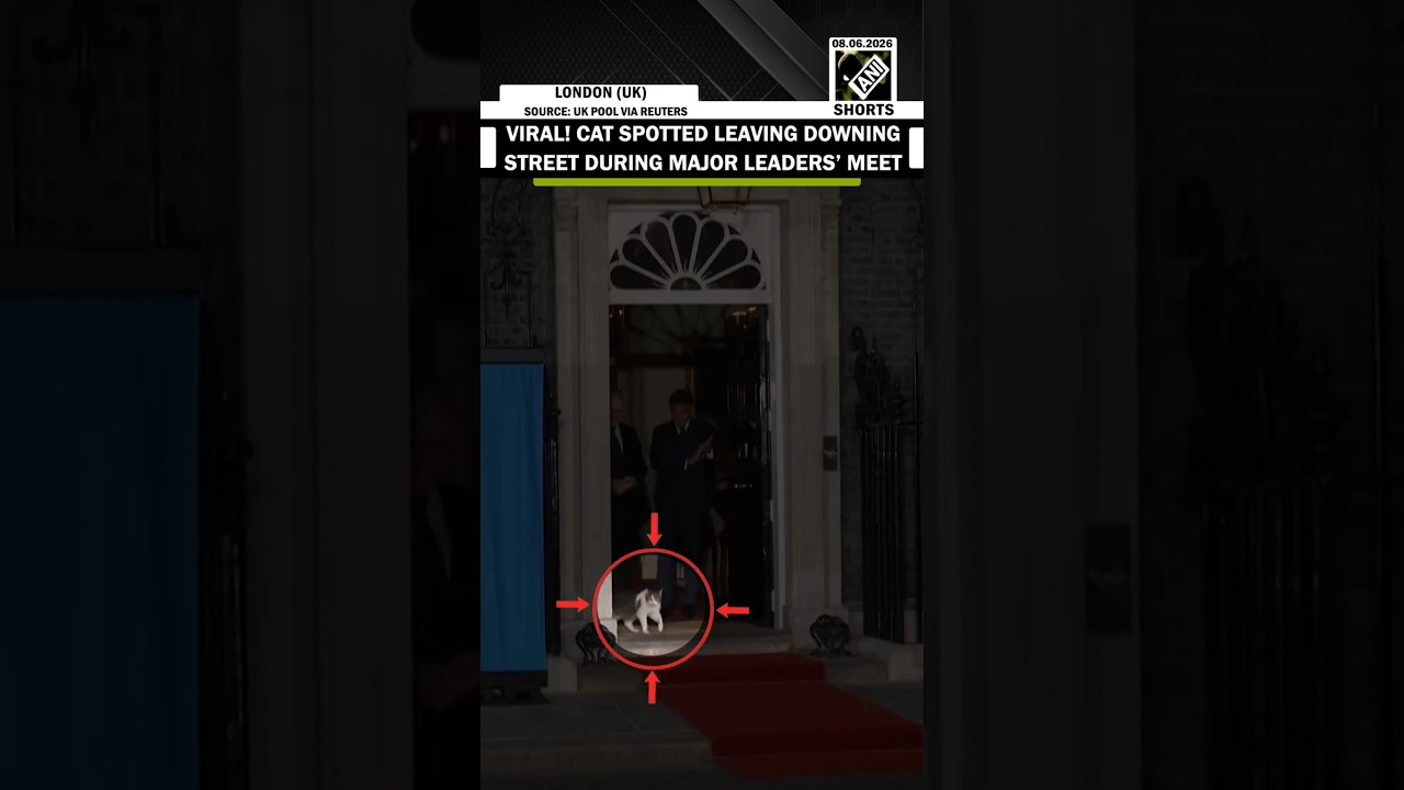 VIRAL VIDEO: Cat spotted leaving Downing Street with Starmer, Zelenskyy, Macron and Merz