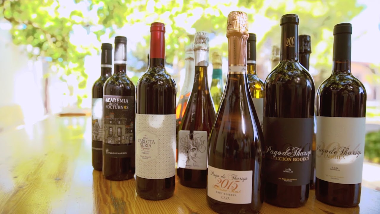 Vídeo Corporativo  Bodega Pago de Tharsys