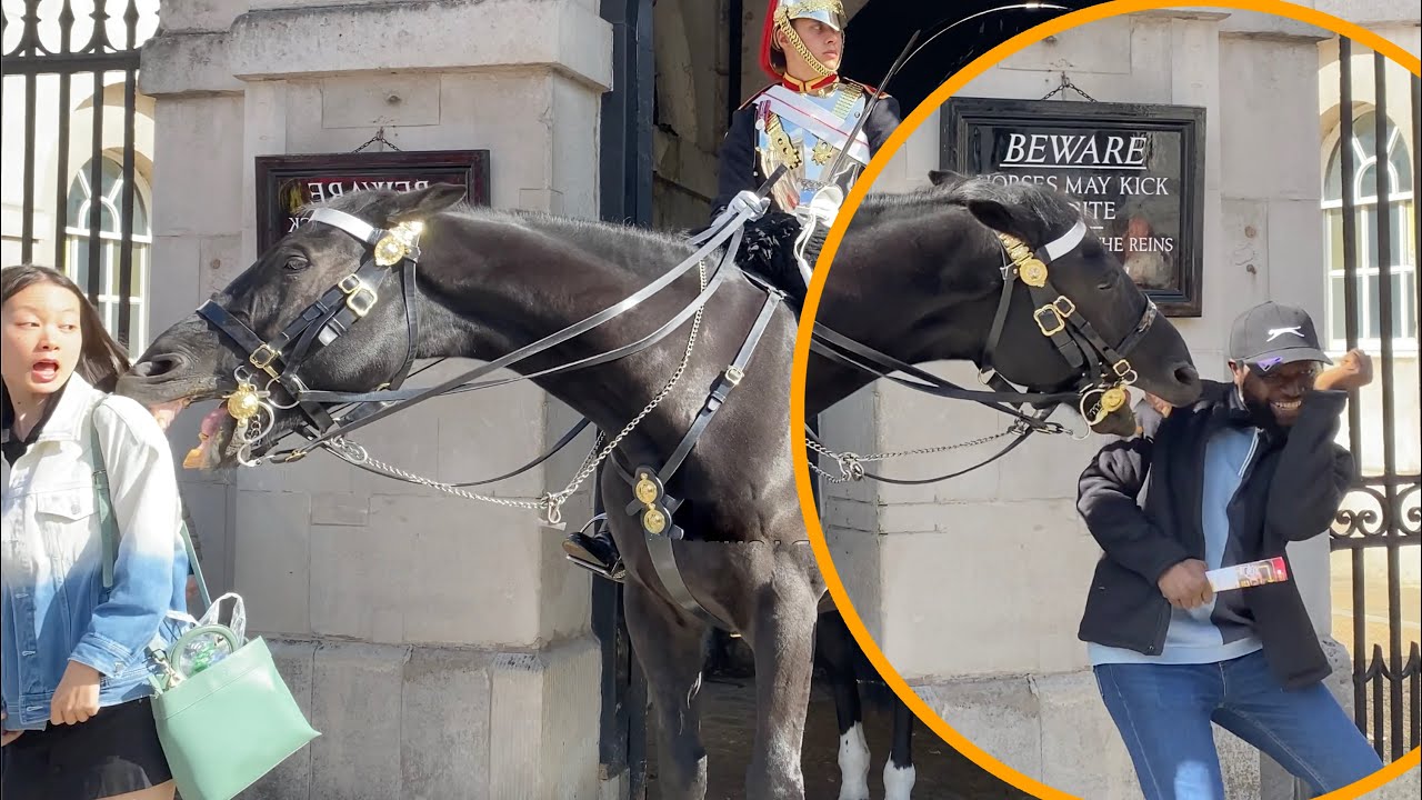 Tourists PROVOKED The WRONG Horse.!! THE BITING 