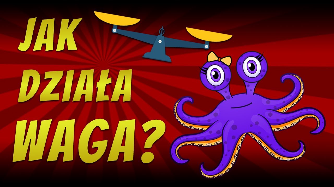 Jak działa waga szalkowa?