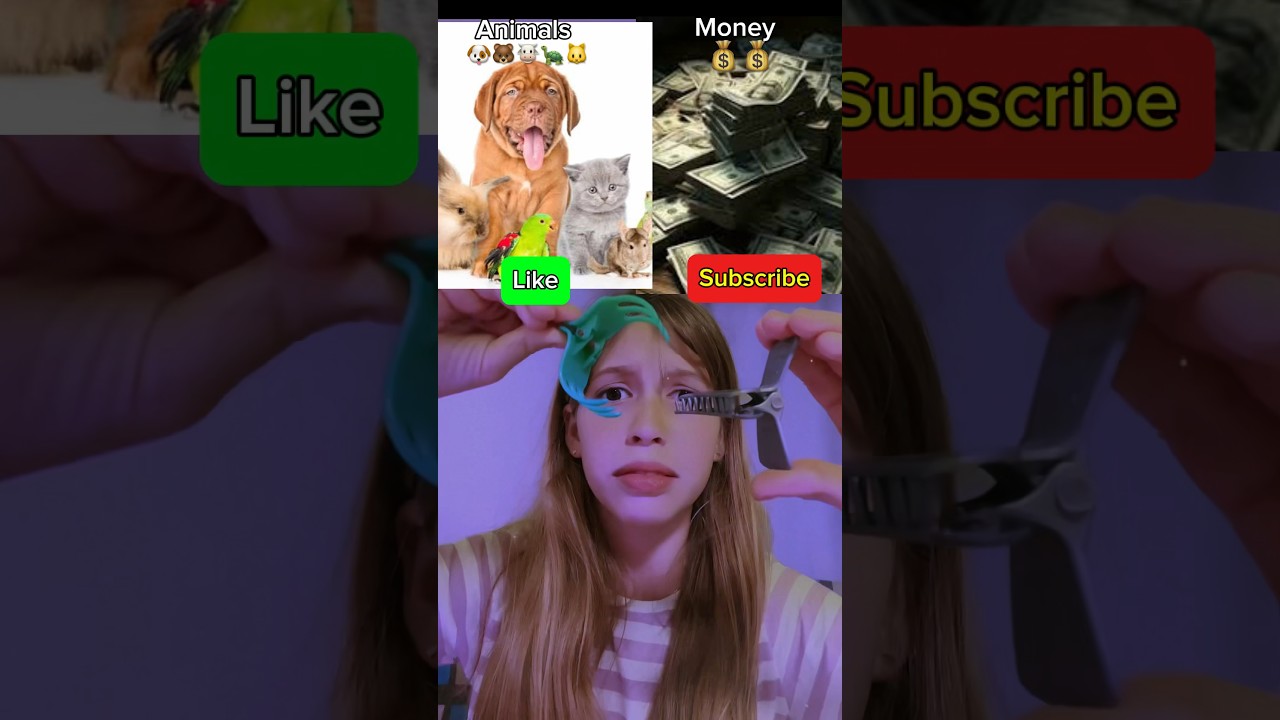 🐱🐶🐢 x 💰 #escolha #choose #wouldyourather #eligebien #animais #animalslover