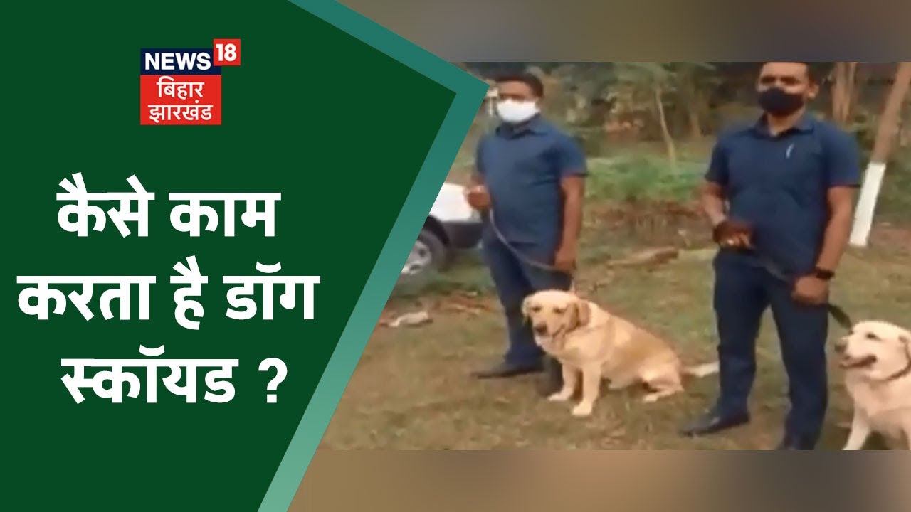 Munger Dog Squad: शराबबंदी से लेकर अपराध गिरोह तक, Dog Squad ने सफलता की लिखी है कहानी