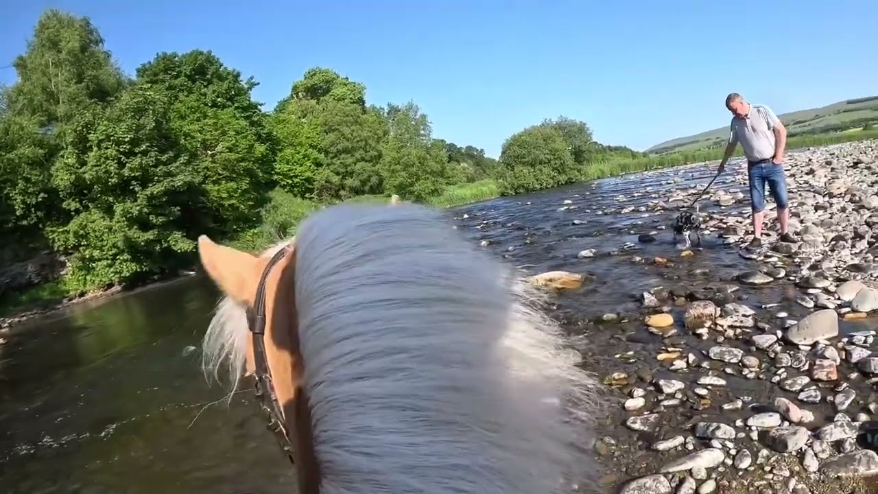 Saturday Morning Hack