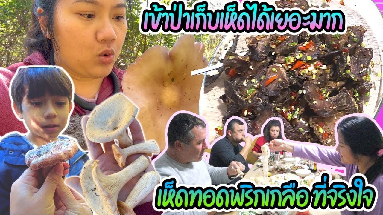EP393 ฝึกลูกหากินของป่า เก็บสตอเบอรี่ภูเขาเยอะมากๆ แข่งกันเก็บสารพัดเห็ด ทำอาหารไทยแซ่บ