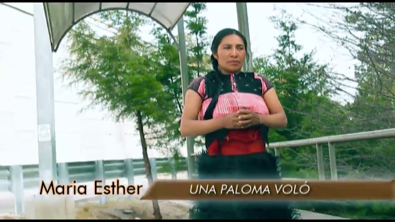 María Esther, Una paloma voló