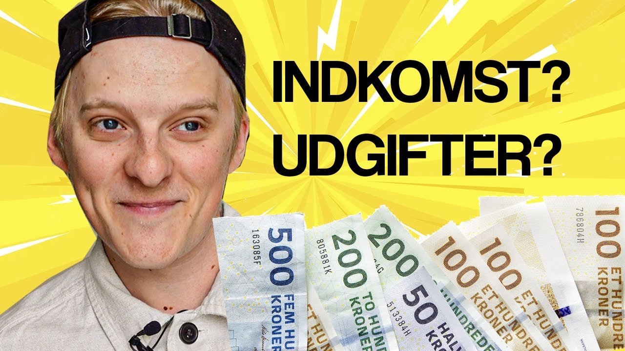ET INDBLIK I MIN ØKONOMI 💸
