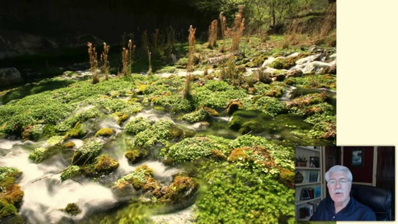 Texas Water - L1.5
