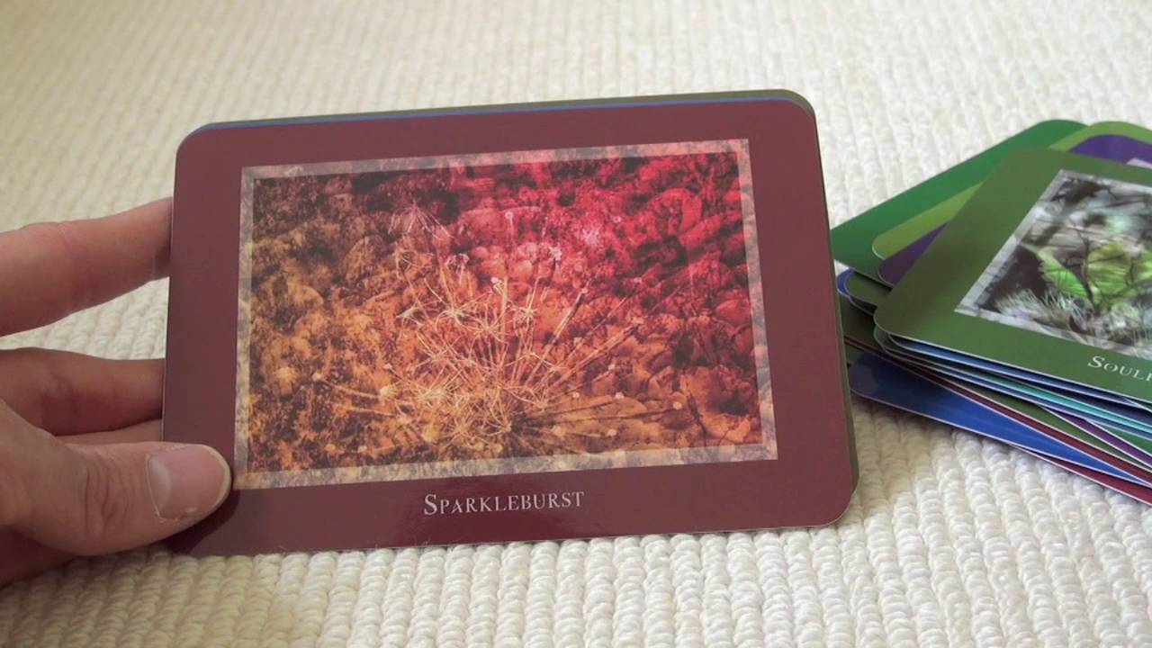 Gaia's Vision Oracle Unboxing