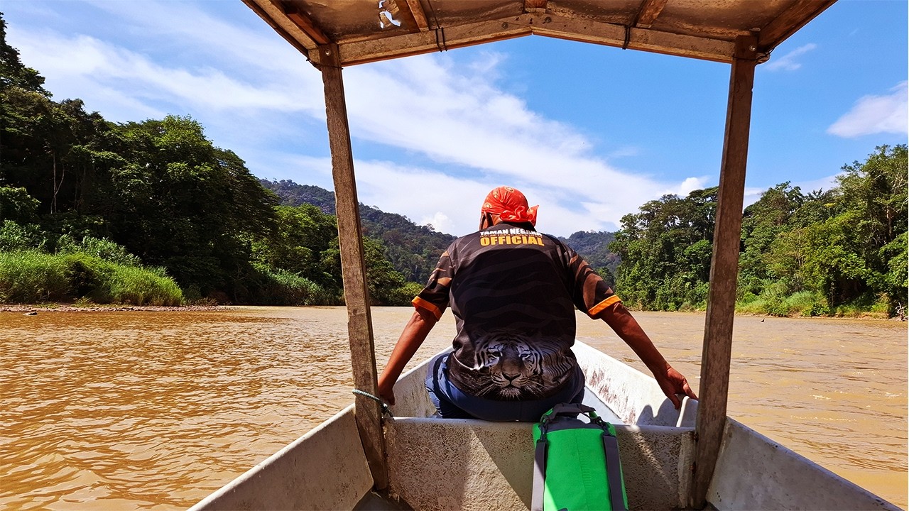 River cruises. Taman Negara. Tembeling and Tahan rivers.