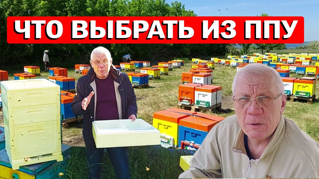 Ульи подбор. Какой тип улья ппу лучше? Ульи ппу Бджоляр.