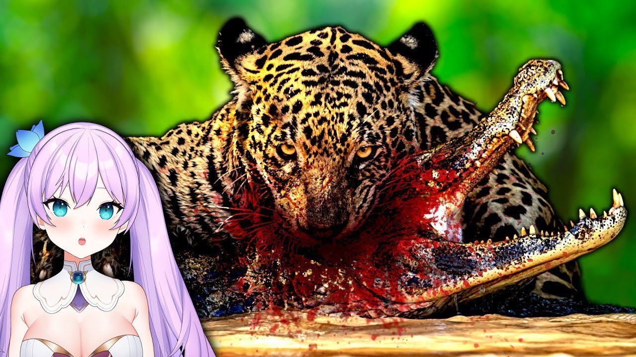 Kyria reacciona a 