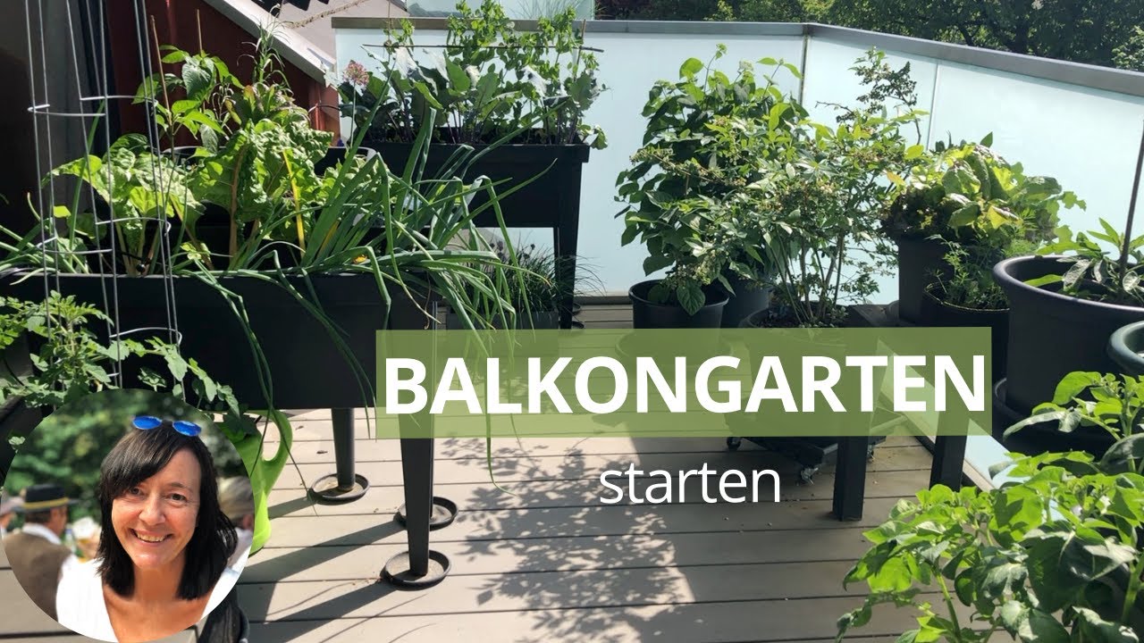 Einen Balkongarten mit Gemüse starten - 8 Tipps für Anfänger