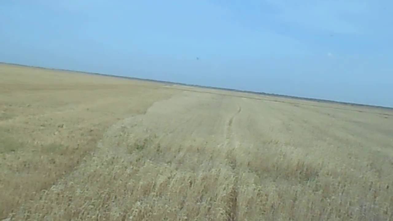 уборка пшеницы АКРОС-580