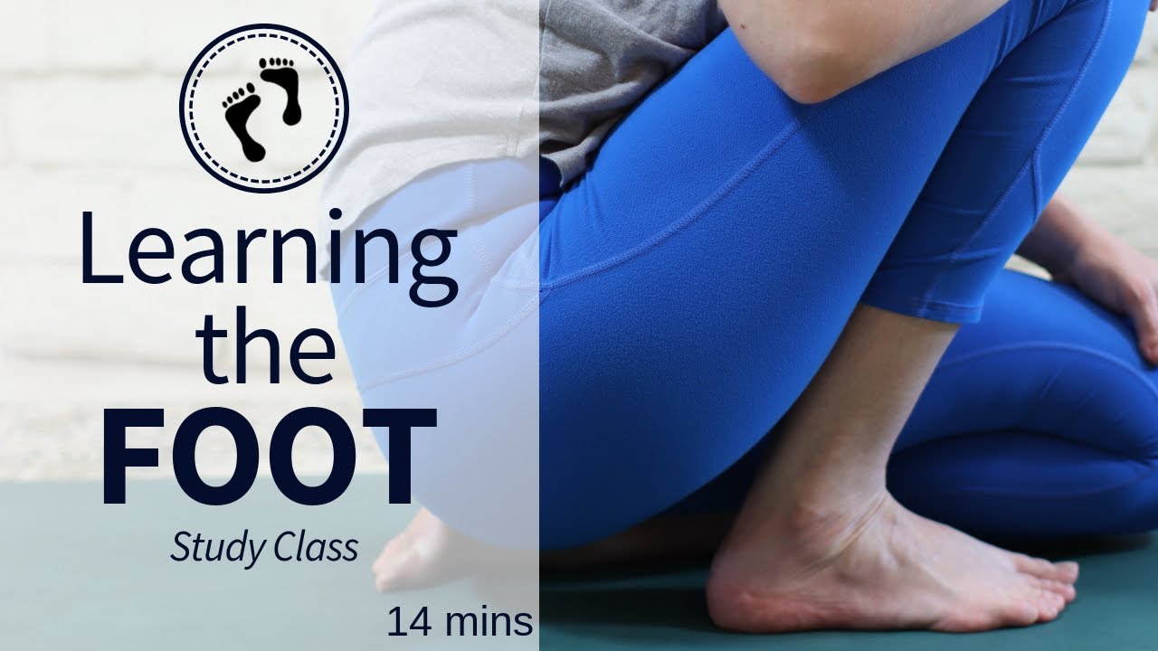 Learning the Foot | Class 1 of How To Move Your Body Home Yoga Program with Brentan Schellenbach