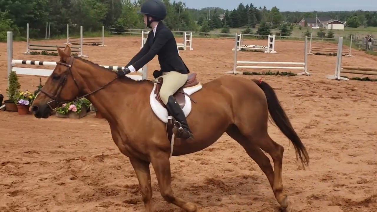 July 2, 2023 - Sandstone show video 1