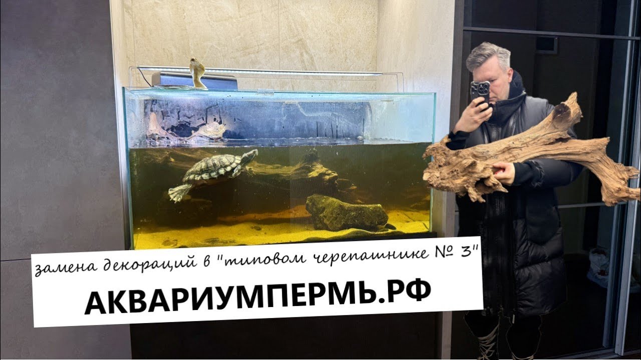 Замена декора в типовом аквариуме для красноухой черепахи №3