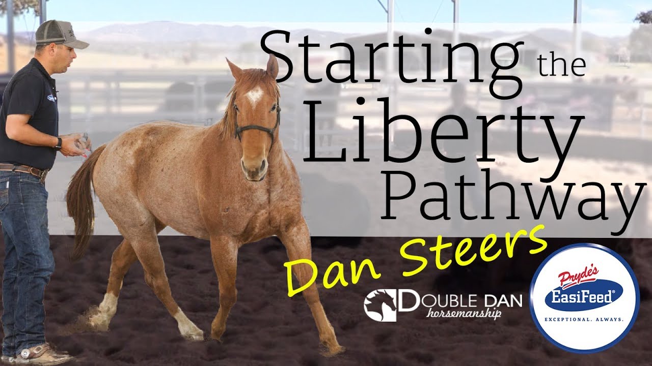 Starting the Liberty Pathway - Double Dan Horsemanship
