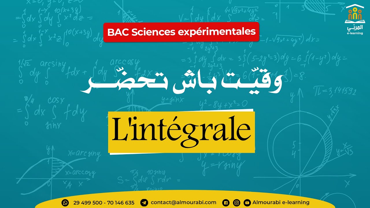 Bac Sciences : Math&eacute;matiques - Explication Compl&egrave;te du Cours de l'Int&eacute;grale | R&eacute;vision et Astuces