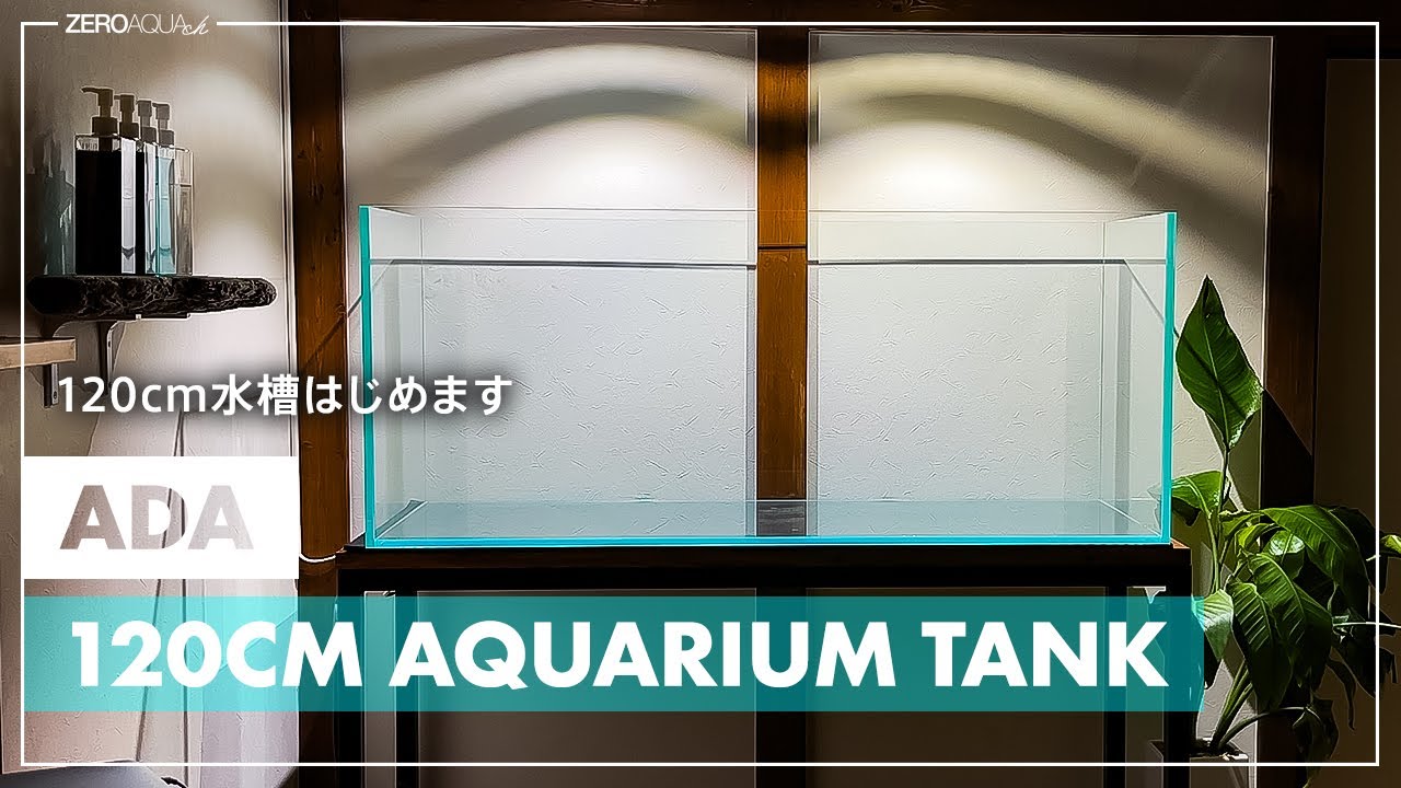 【部屋作りDIY】部屋に120cm水槽置いた日。オーディオ環境を整えた日。/DIY/ルームツアー/aquascape/aquarium/vlog/
