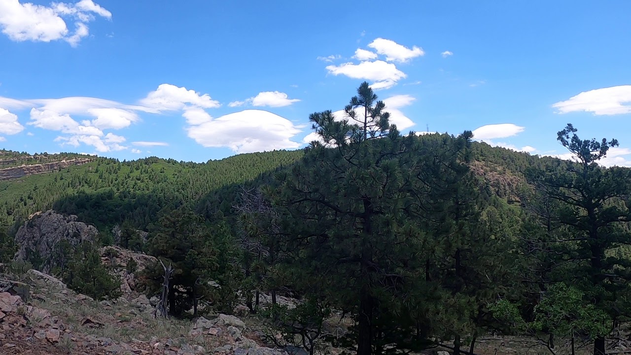 Gavilan Trail Hike