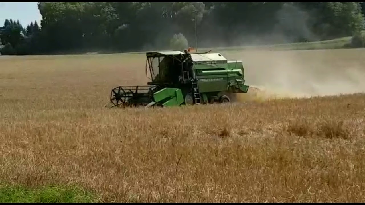 Gerste dreschen mit Deutz M2385 2017 (Uncut)