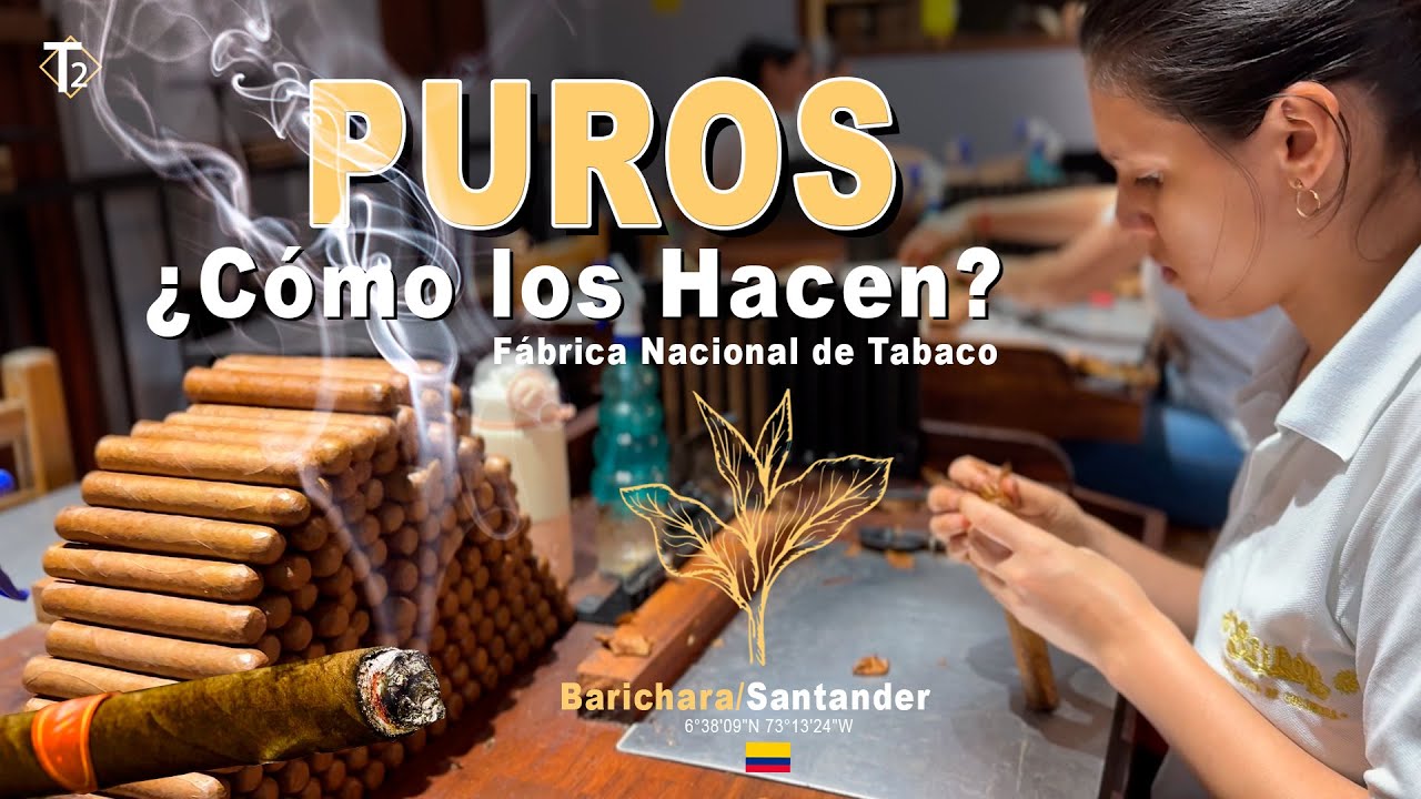 Así se hacen los puros artesanales en Barichara, Santander | ¿Cómo lo Hacen?  | Epis 40