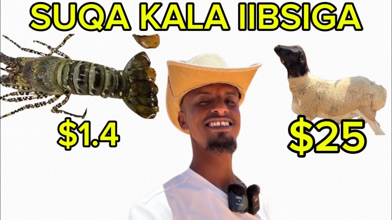 SUQA UGU RAQIISAN MARKA LAJOOGA SOMALI EE BARAWE
