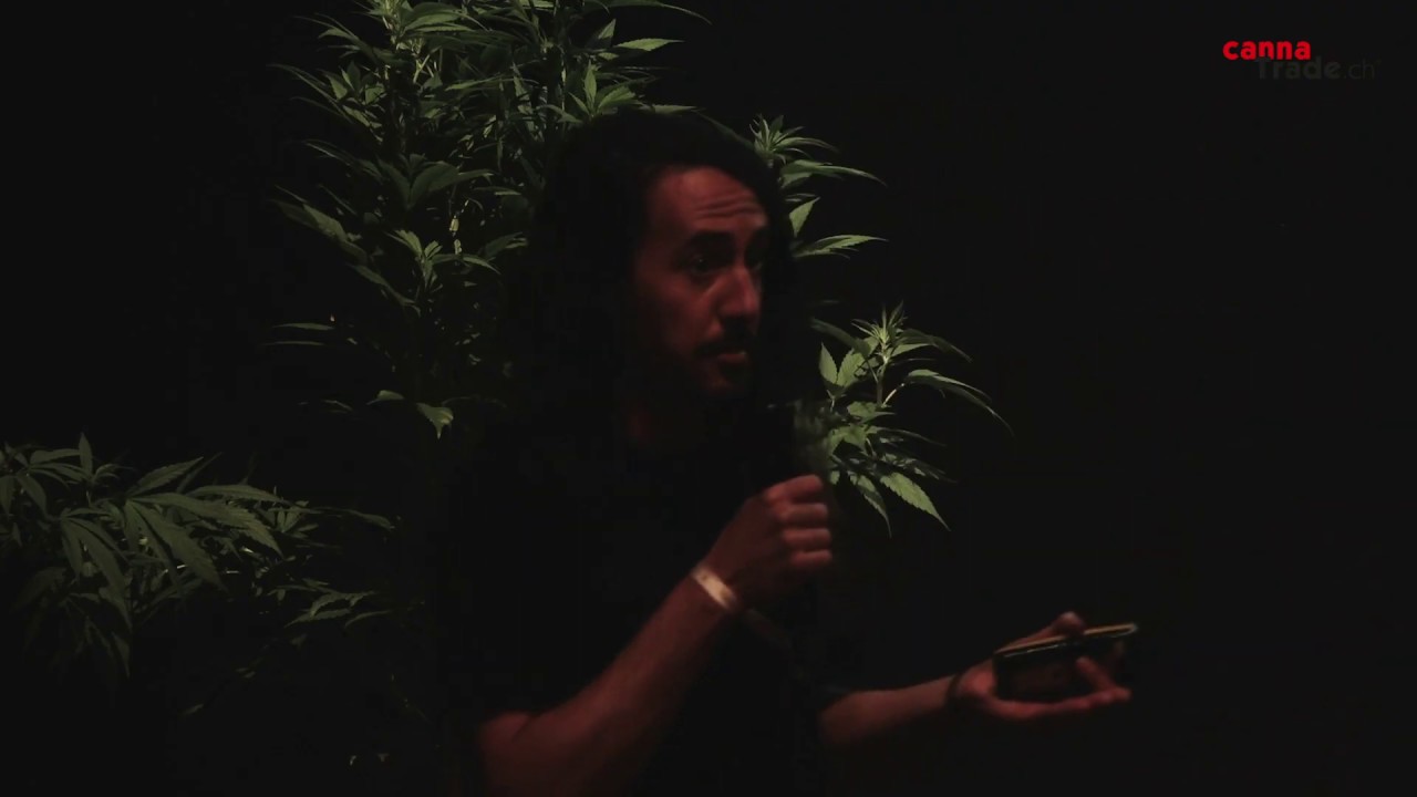 CannaTrade 2019 - Panel: Ecological CBD production – technical information to improve CBD crops