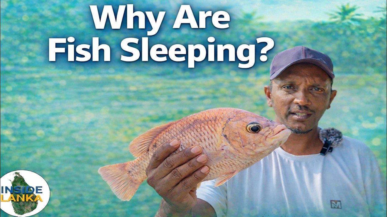 Amazing River Fish Catch😘💕 – Holding It in My Hand!