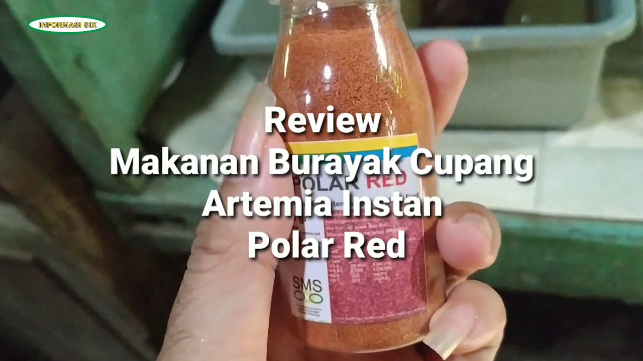 Artemia Instan Makanan Burayak Ikan Cupang