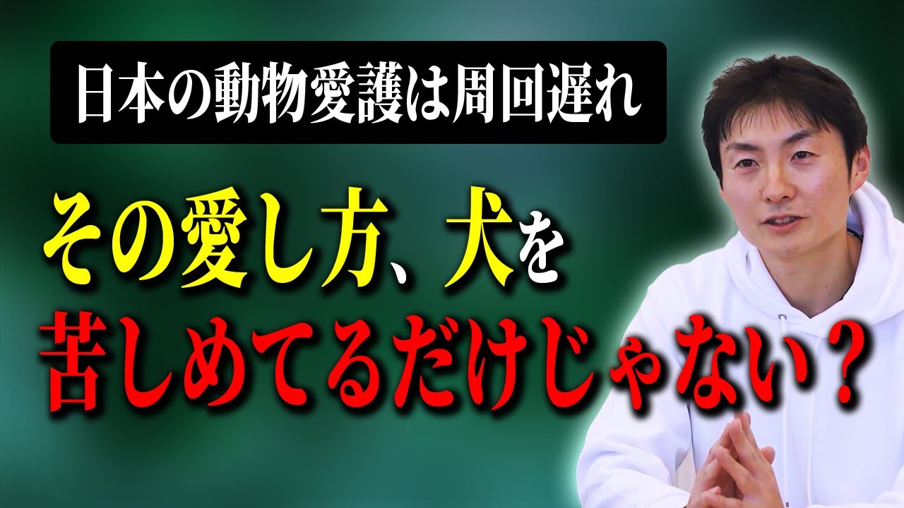 それ、犬にとって幸せ？🐶 知らないと怖い動物福祉の話