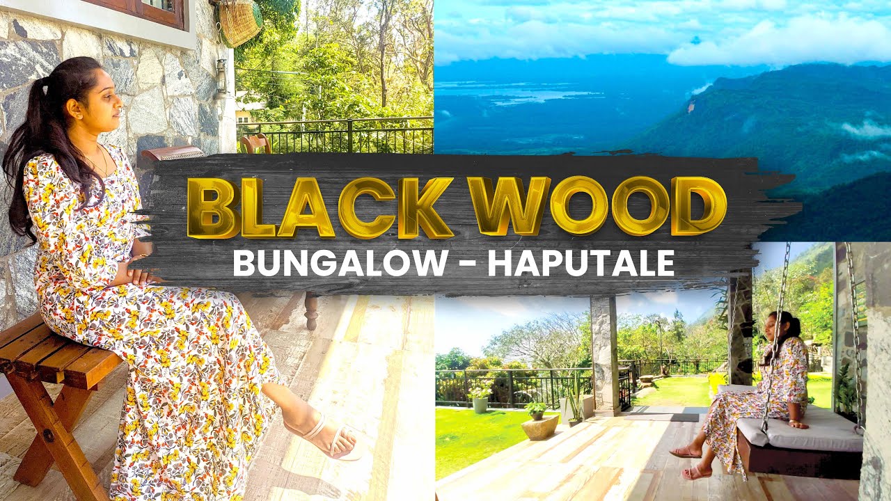 The Best Hotel in Haputale | ESKPE to Black Wood | හපුතලේ යන්නම ඕනි බංගලාවක්