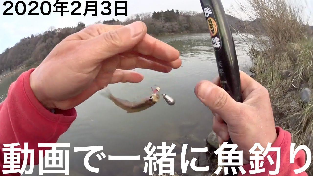 動画で一緒に魚釣り【2020年2月3日節分の日に陸っぱりのワカサギ釣り】