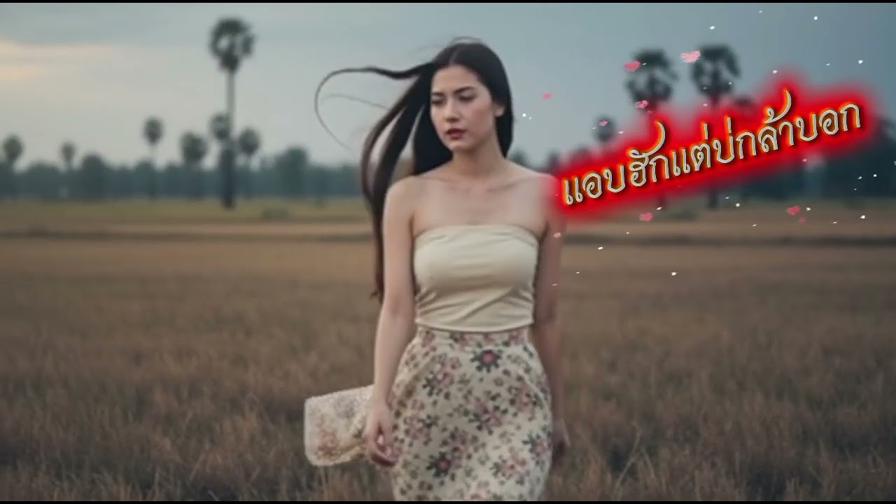 เพลง : แอบรักแต่บ่กล้าบอก #เพลงลูกทุ่ง #เพลงใหม่ #newsong #music #song 