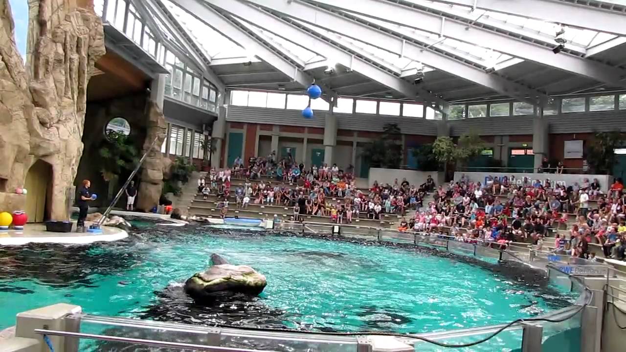 Delphinarium Duisburg