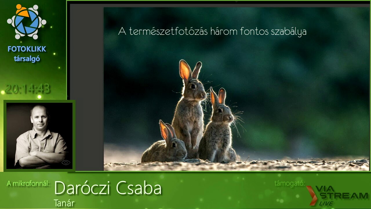 Daróczi Csaba: 25 év természetfotósként