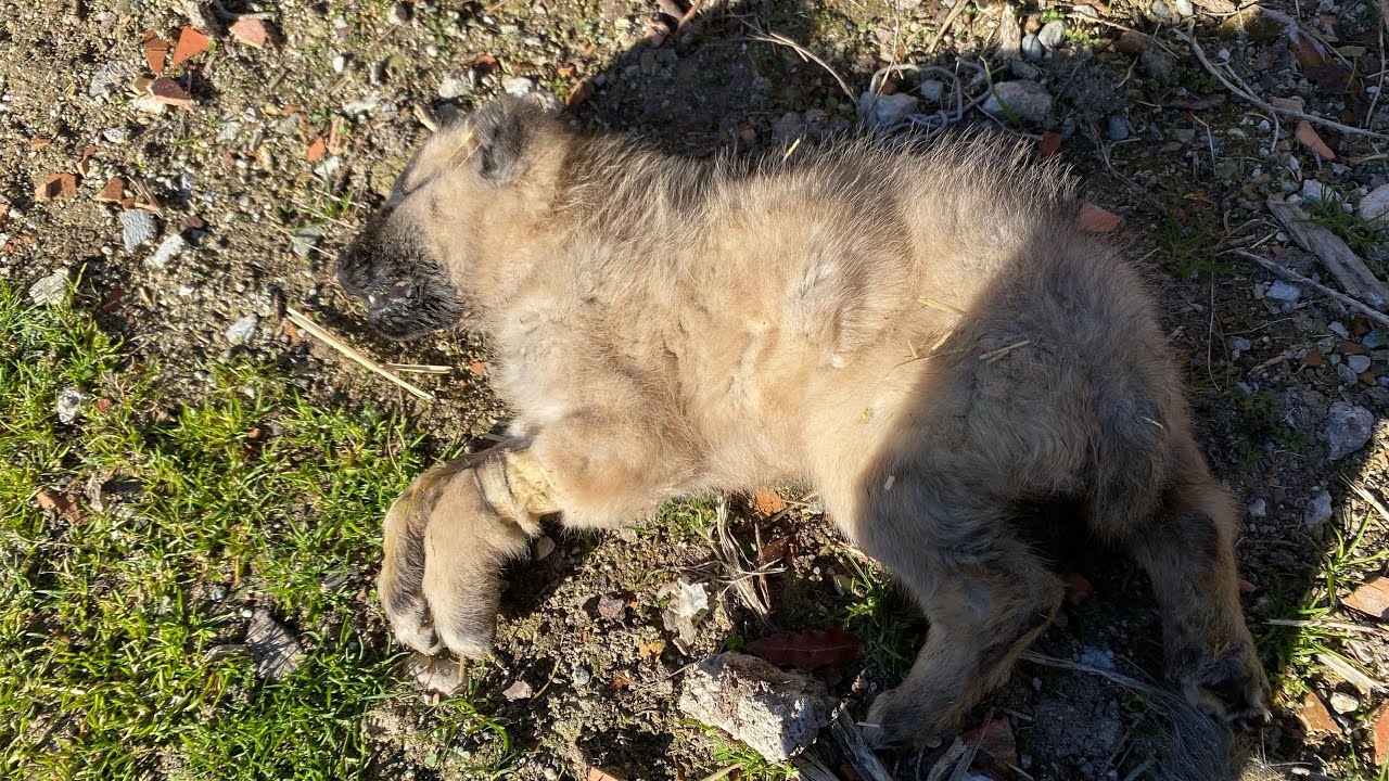 Мы потратили впустую целое поколение молодежи 🥹