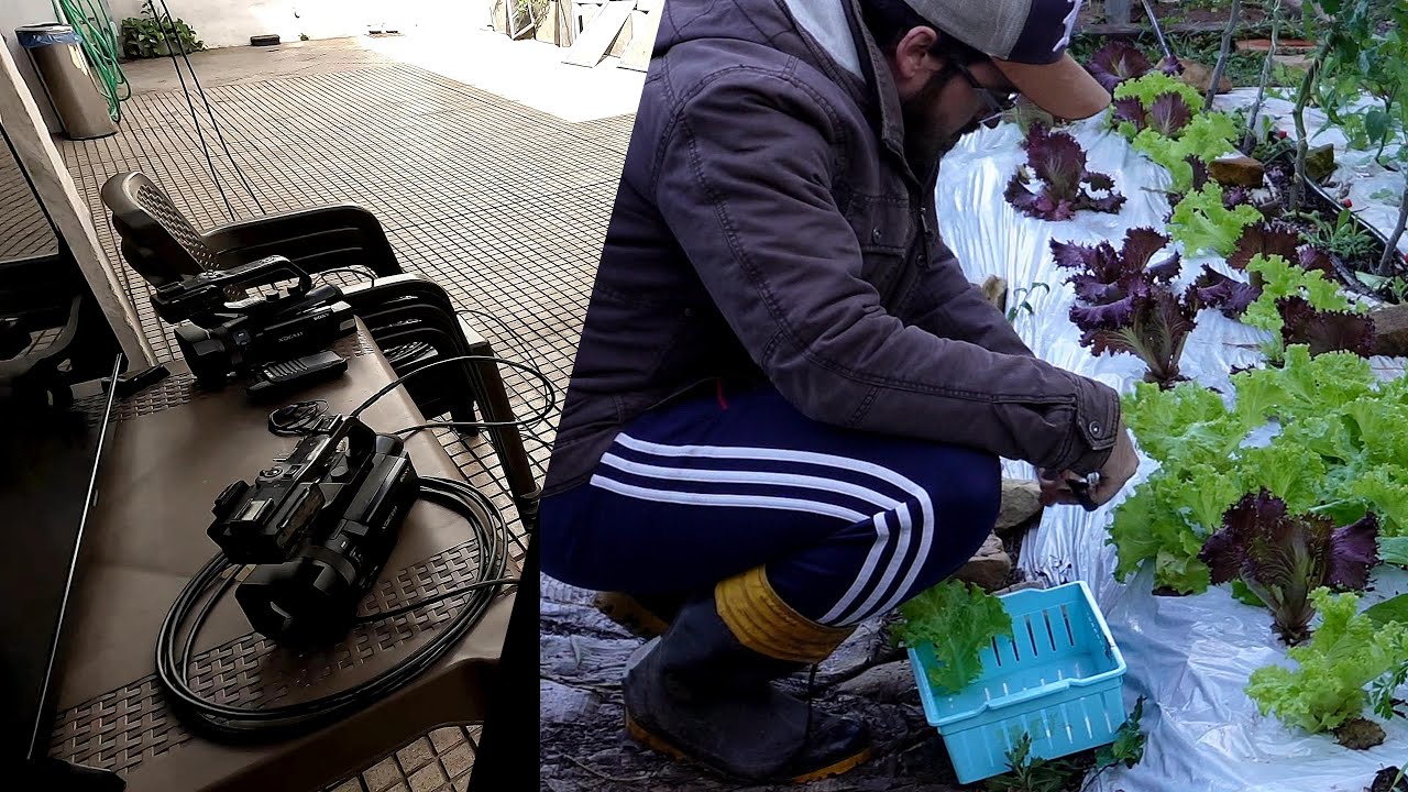 De la HUERTA a la TELEVISION