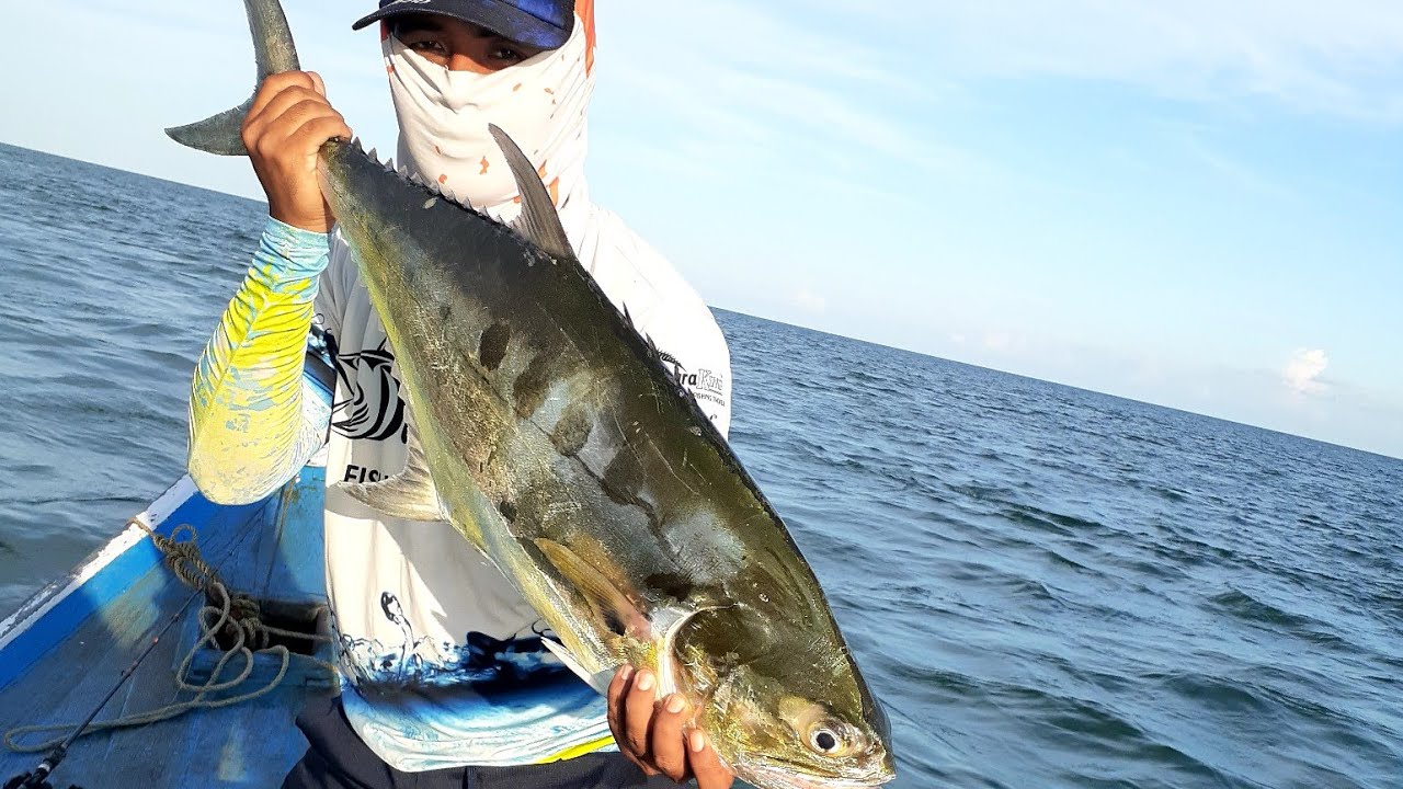 Minnow Sinking Super killer untuk Predator!!!! cuma 20 ribuan dari China