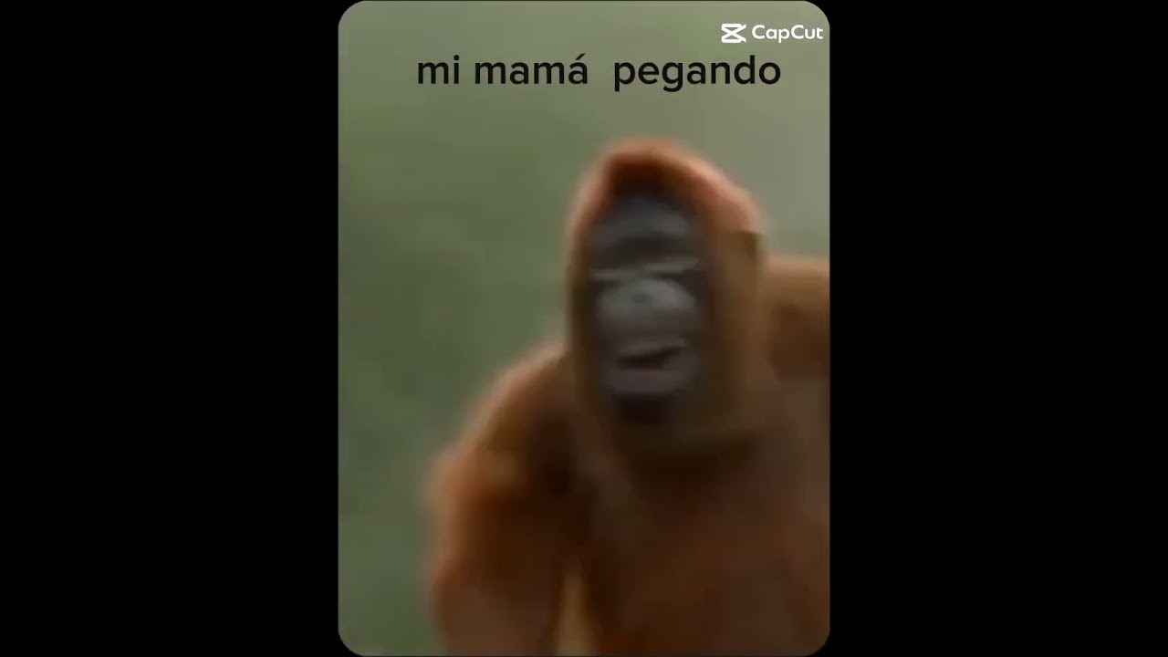 la mente de mi mam&aacute; cada vez que me pega