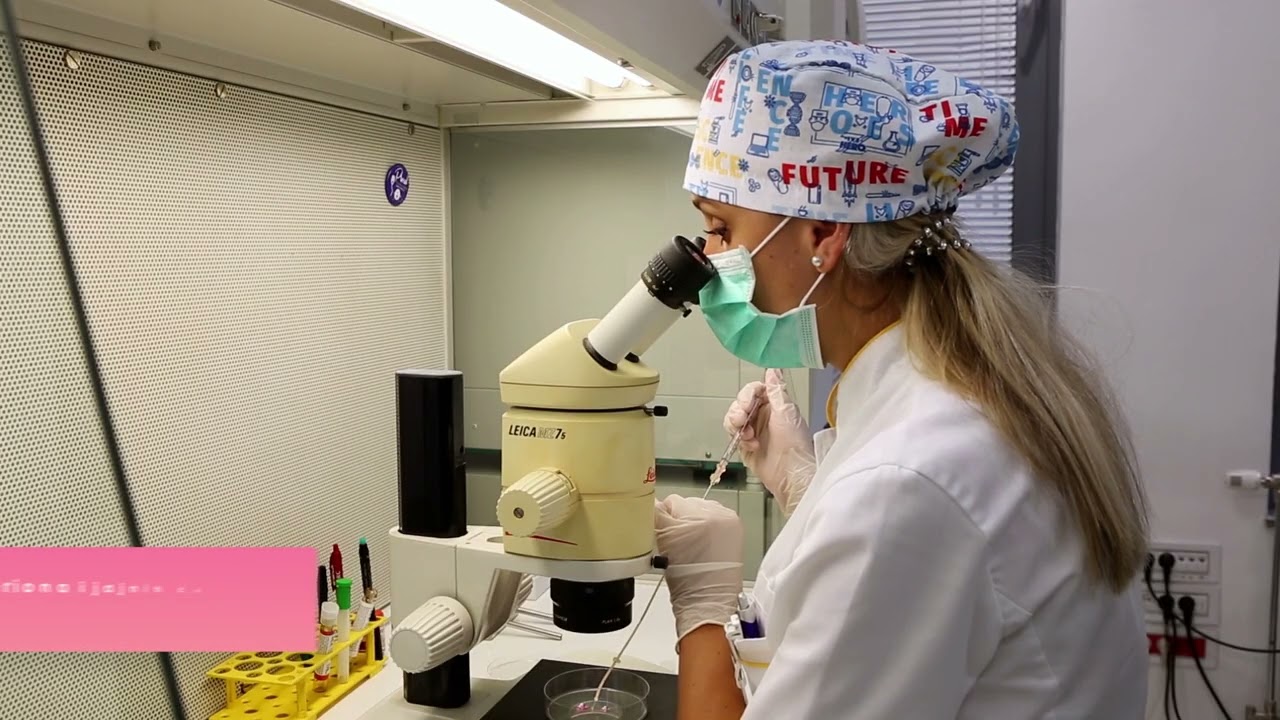 VANTJELESNA OPLODNJA | Medico-S, članica grupacije Pronatal