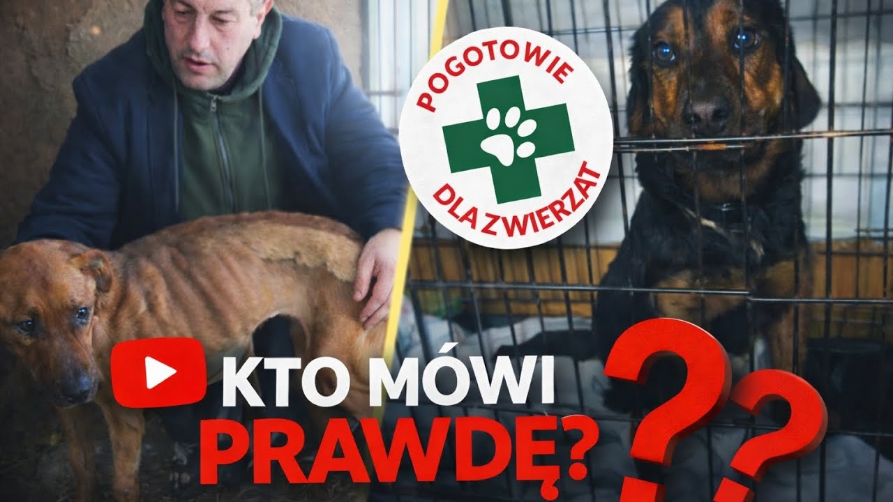 Pogotowie dla zwierząt odpowiada na artykuł WP ⬅️ 
