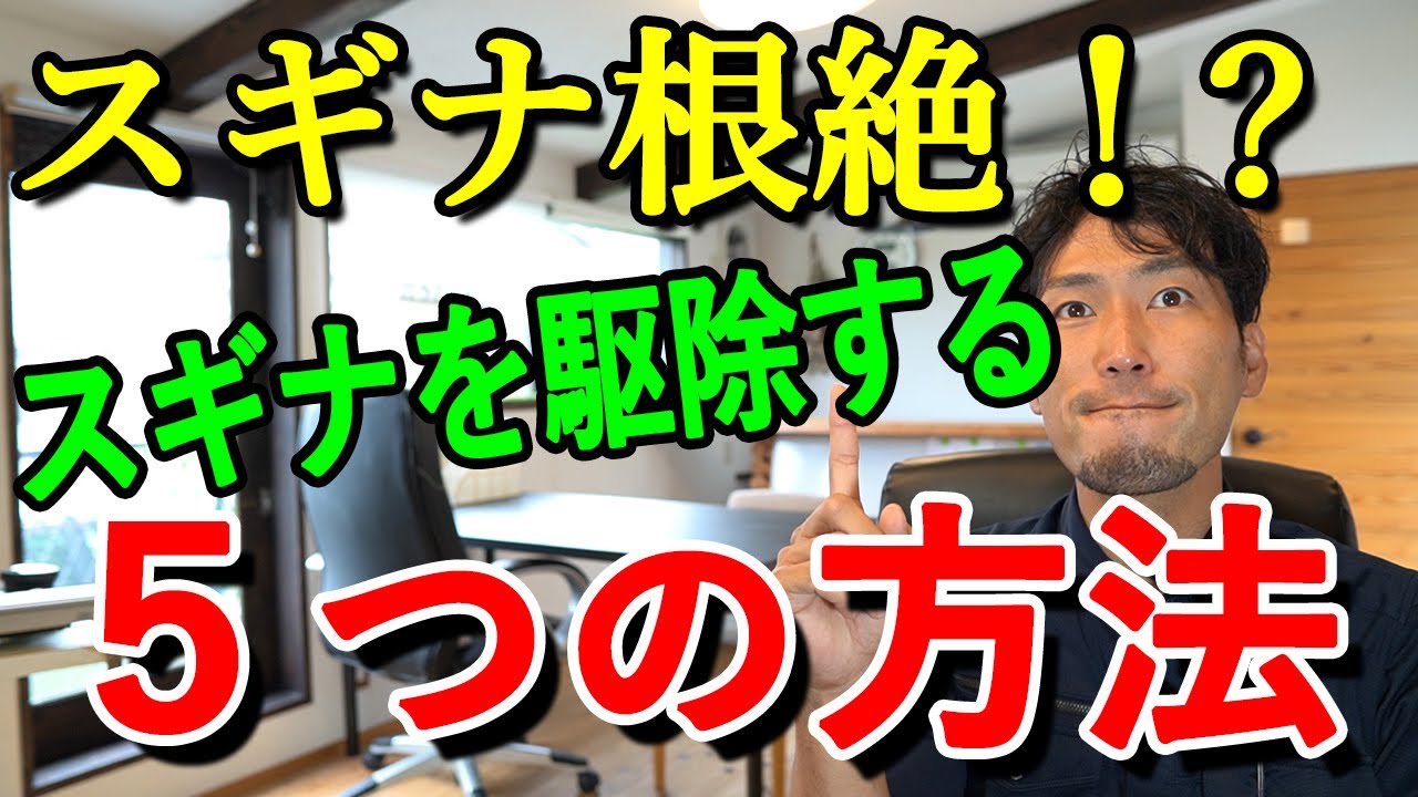 【スギナでお困りの方必見！】10年以上雑草対策をしてきて、辿り着いたスギナの対策方法を5つご紹介!