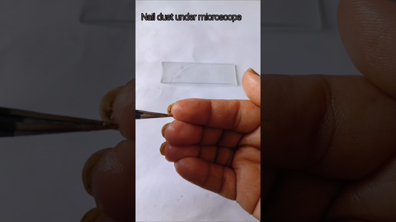 Nail Dust under Microscope 🦠#shorts #microscope #nails #germs #biology #experiment #viral