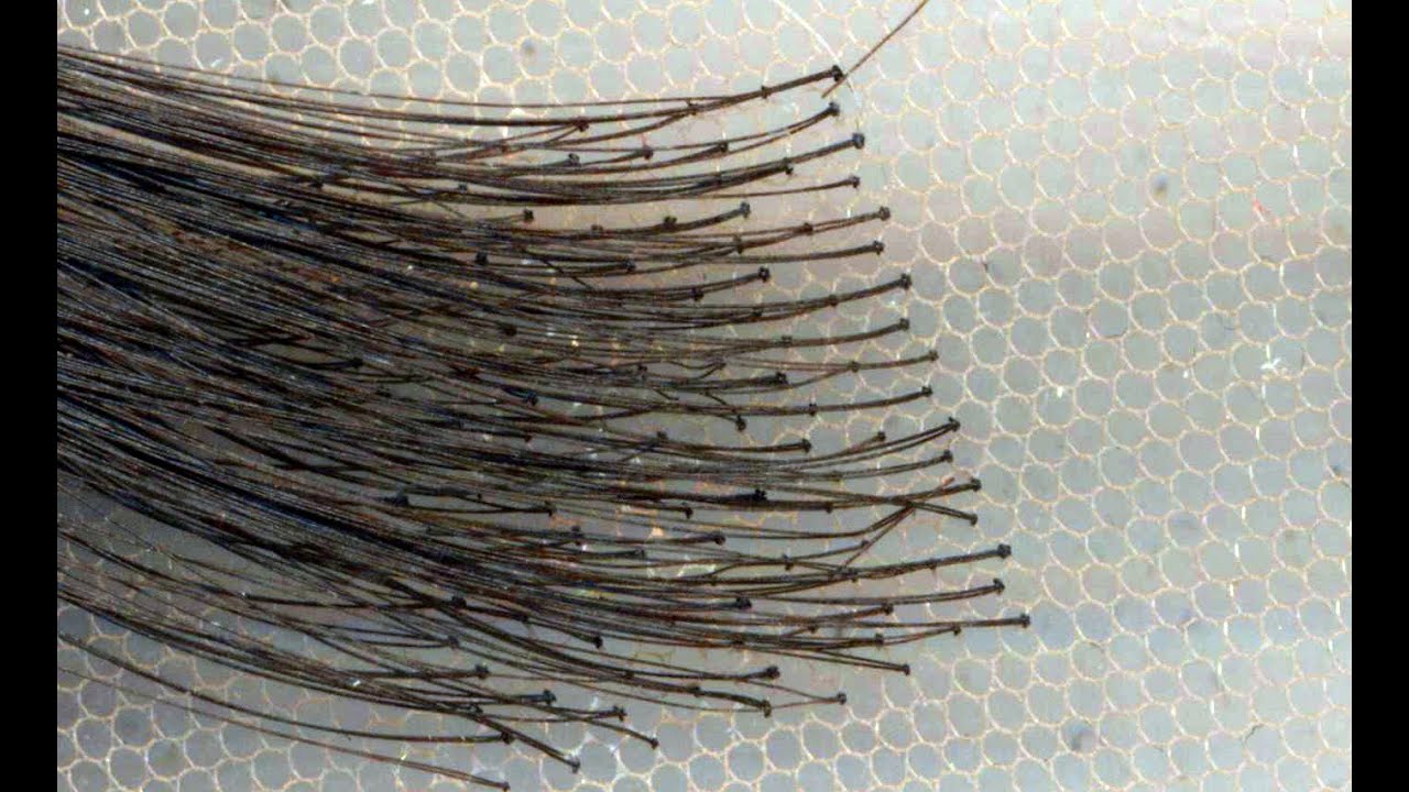 Heat Sealing the Knots with Hair Straightener (1st Video)