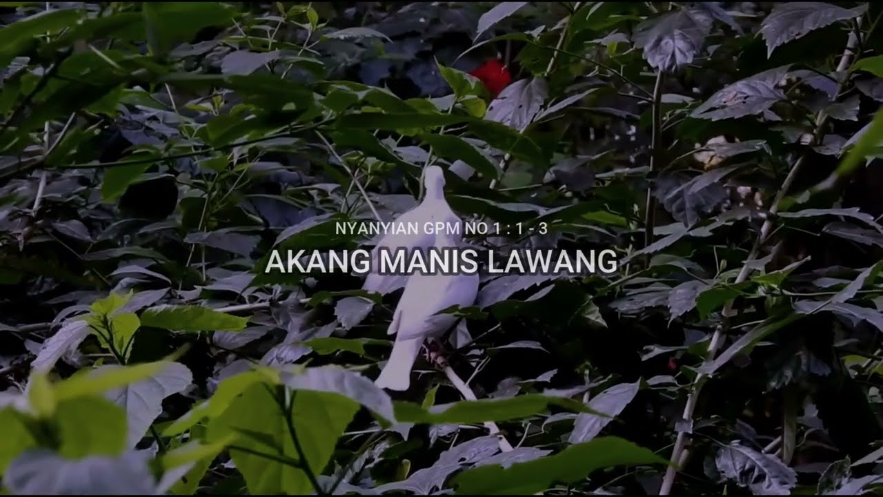 Instrumen Nyanyian GPM No 1 : 1 - 3 AKANG MANIS LAWANG