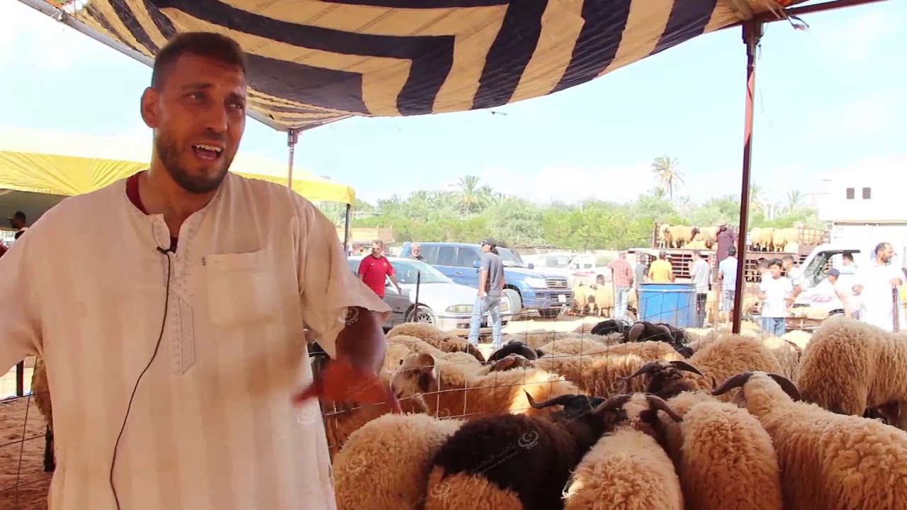 اختتام الحملة المجانية السنوية للكشف عن أضاحي العيد من المواشي LCNA