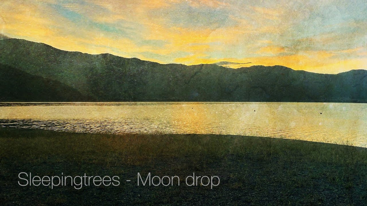 【Metalcore】Sleepingtrees - Voiceless